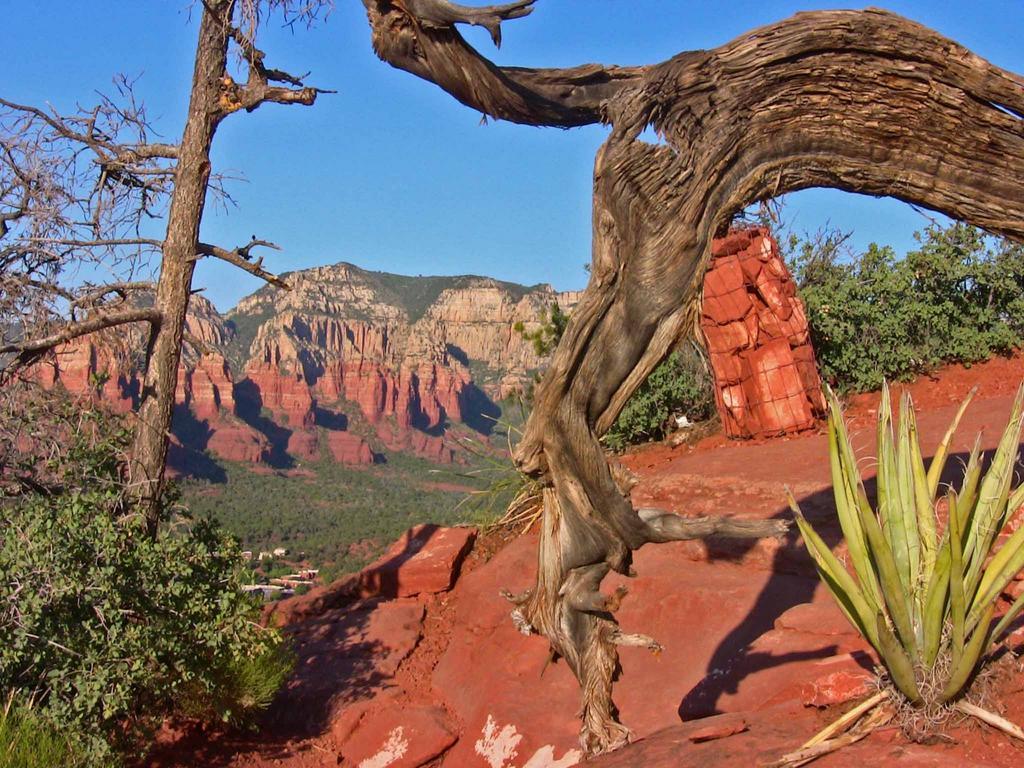 Baby Quail Inn Sedona Exterior foto